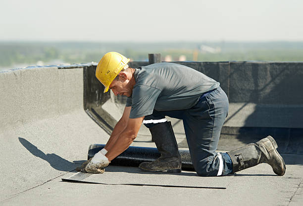 Best Cellulose Insulation in Camanche, IA