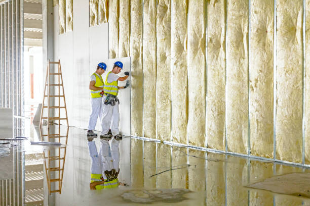 Best DIY Insulation Kits and Guidance in Camanche, IA